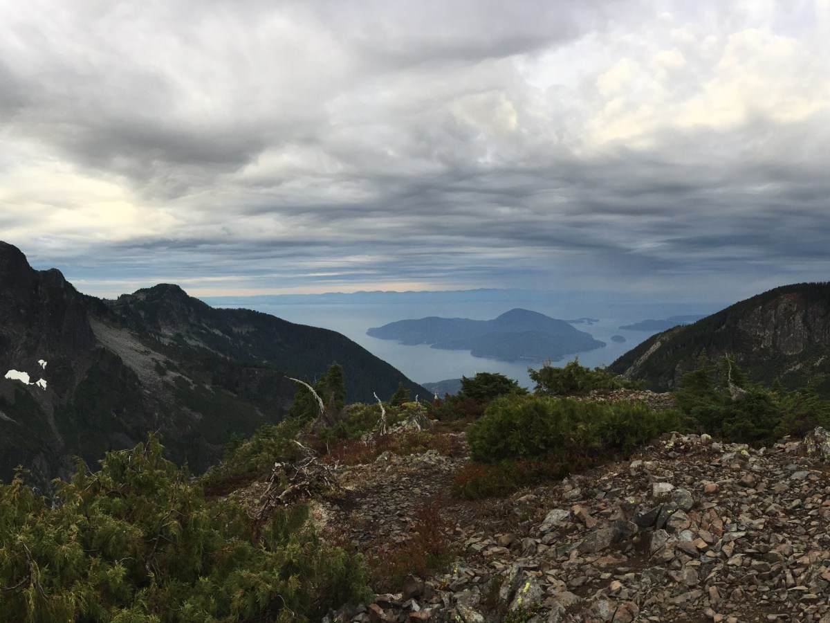 Panic on the&nbsp;Lions