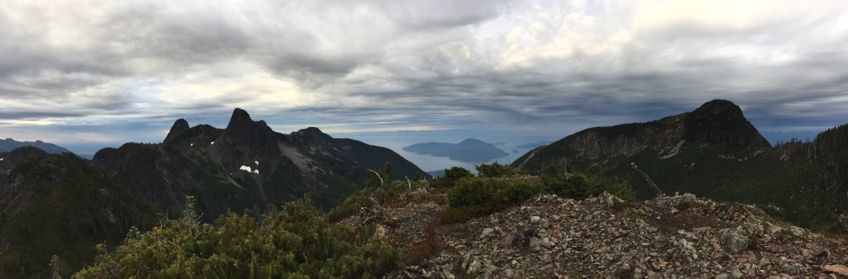 Panic on the&nbsp;Lions