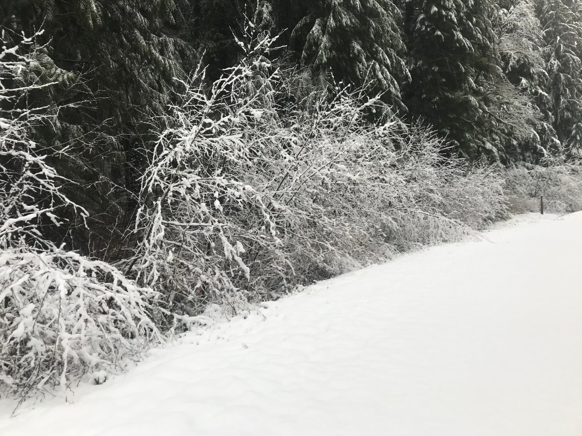 The Process of Waiting…and running 100&nbsp;miles…